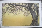Toshi Yoshida - Cherry Blossoms